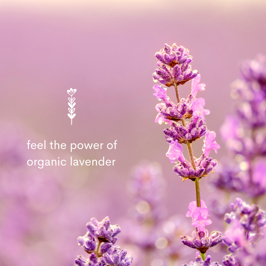 Kio Calm - Plant-Based Anxiety Relief Capsules